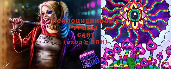 ПСИЛОЦИБИНОВЫЕ ГРИБЫ Алзамай
