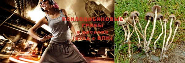 ешки Абаза