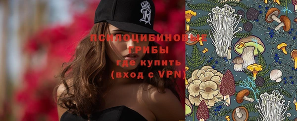ешки Абаза
