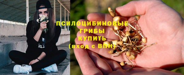 крисы Абдулино